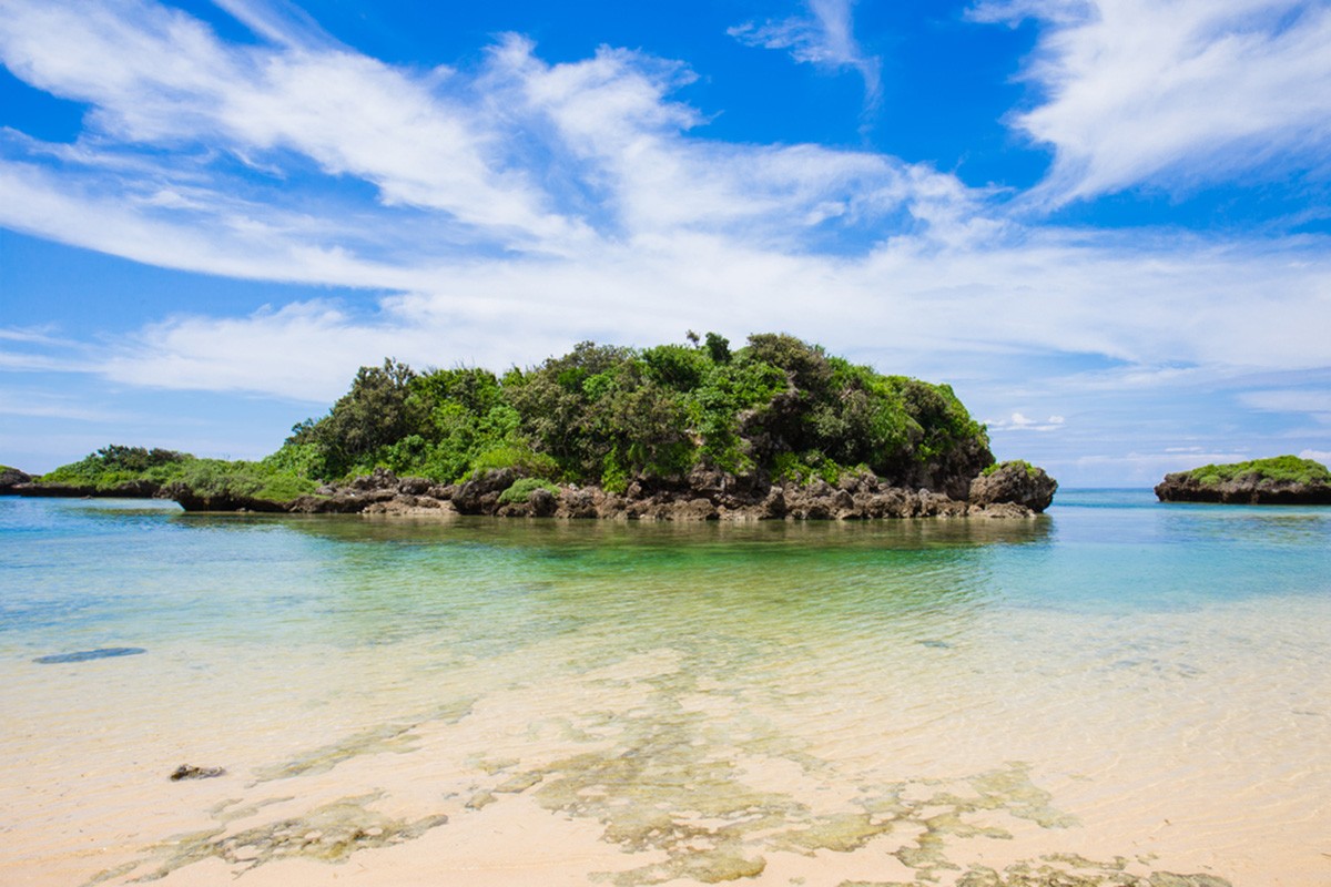 Iriomote Island: Okinawa's Remote Island with over 90% Covered by Jungle